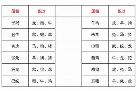 生肖相刑化解|相刑生肖怎么化解